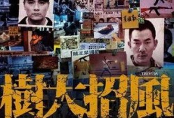 树大招风电影在线观看