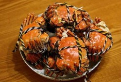 娱乐吃瓜君大闸蟹,大闸蟹背后的故事与魅力