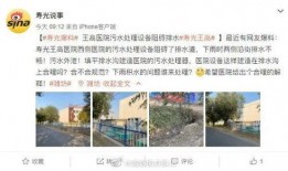 寿光最新爆料消息视频播放,视频揭秘惊人内幕