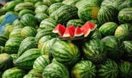 文县网红吃瓜事件真相,真相背后的网络风波