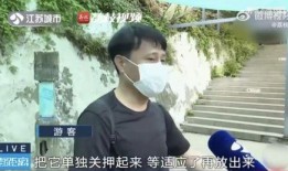 网红吃瓜徒弟,揭秘娱乐圈幕后真相