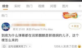 大小杨互相爆料视频下载,揭秘娱乐圈风云再起