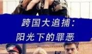 阳光下的罪恶在线观看,揭秘暗流涌动的悬疑世界