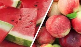 小说桃桃吃瓜免费阅读,一场穿越时空的甜蜜冒险