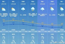 珠海实时天气爆料新闻,市区多处积水，出行请注意安全