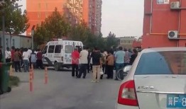 保定爆料最新,揭秘城市新动态，聚焦民生热点！”