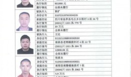 南部县新闻头条爆料电话,揭秘爆料热线背后的故事