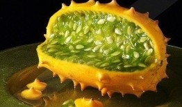 吃角瓜的网红,美味与时尚的完美邂逅