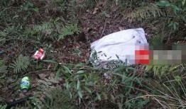 三奸1在线观看,激情陷阱，爱恨交织的悬疑之旅