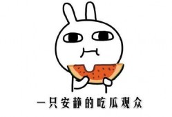 免费吃瓜抖音,抖音带你领略网络狂欢盛宴