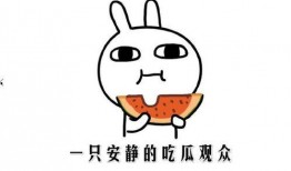 免费吃瓜抖音,抖音带你领略网络狂欢盛宴