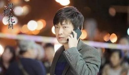 一树桃花开在线观看,穿越时空的浪漫邂逅