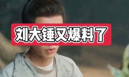 刘大锤最新爆料推测,娱乐圈惊天大事件幕后真相