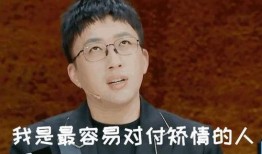 娱乐爆料老王视频,娱乐圈幕后真相大曝光！