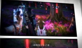 新版天涯爆料视频大全集,揭秘热点事件，追踪幕后真相