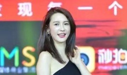 关于张大奕的新闻爆料,揭秘网红电商背后的争议与真相