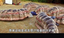 死亡蠕虫电影在线观看,惊悚蔓延，在线惊悚盛宴