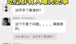 网红吃瓜群聊天记录,聊天记录背后的娱乐圈风云