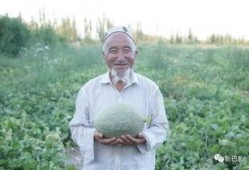 网红吃瓜僧,揭秘网络红人的佛系生活与吃瓜趣事