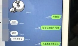 台湾空姐爆料视频,揭秘航空业不为人知的内幕