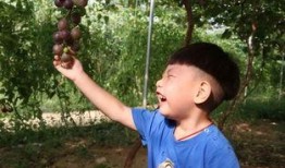 宝妈娱乐圈吃瓜,揭秘明星育儿幕后故事