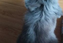 二狗爆料生活视频大全集,生活视频大全集精彩瞬间回顾