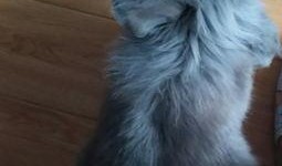 二狗爆料生活视频大全集,生活视频大全集精彩瞬间回顾