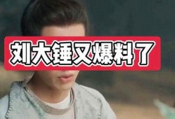 刘大锤最新爆料诗情画意,诗情画意背后的秘密