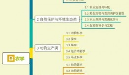 甜瓜游乐爆料视频大全集,揭秘幕后精彩瞬间