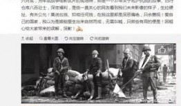 蓬莱新闻爆料事件始末视频,真相与争议的交织