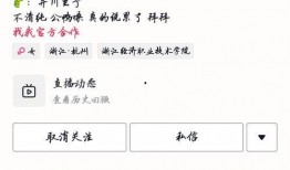 网红吃瓜 合集在线观看,在线观看，笑料连连，揭秘娱乐圈幕后故事