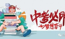 花篮网爆料最新消息视频,最新爆料视频深度解析