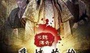 北魏传奇2在线观看,烽火连天，英雄再起