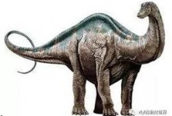 吊打哥爆料雷龙视频,雷龙视频背后的惊人真相