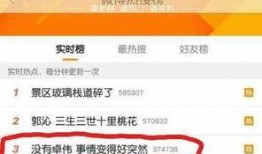 卓伟爆料小男孩视频,小男孩神秘视频引发热议