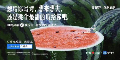 娱乐吃瓜文案怎么写好看,吃瓜群众必备的幕后花絮大放送！